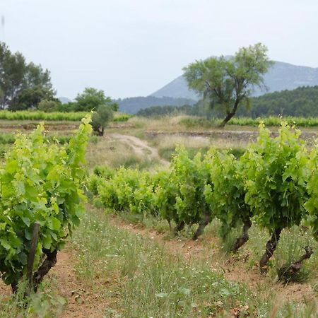 La Maison De Campagne Carcès Zewnętrze zdjęcie
