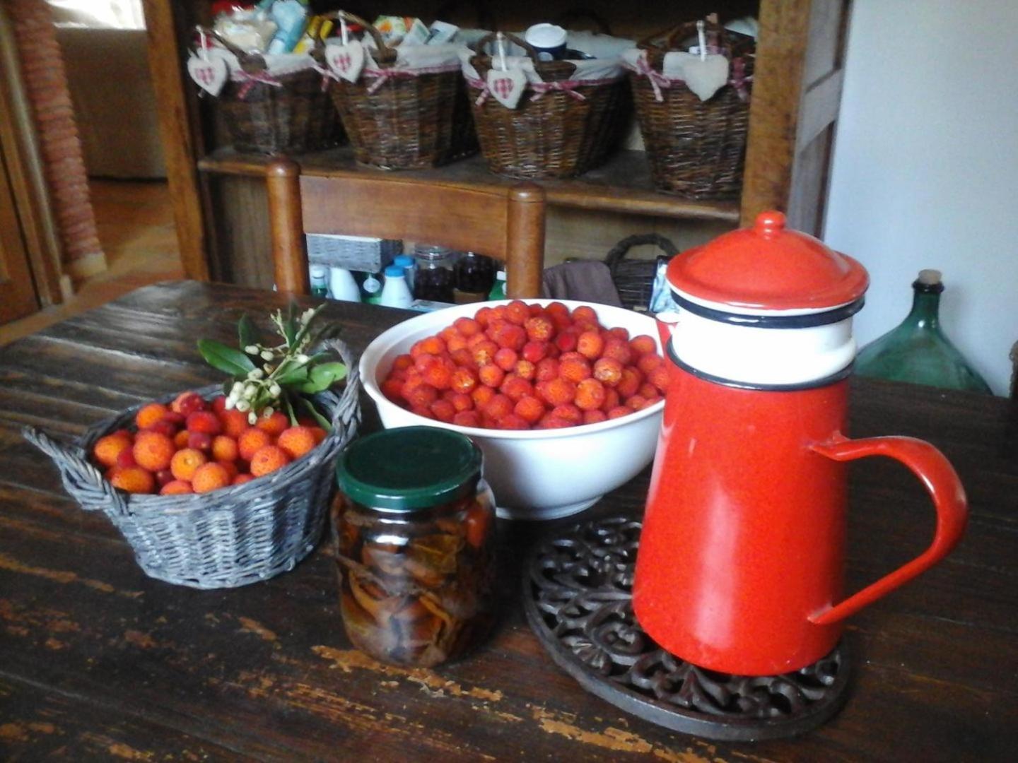 La Maison De Campagne Carcès Zewnętrze zdjęcie