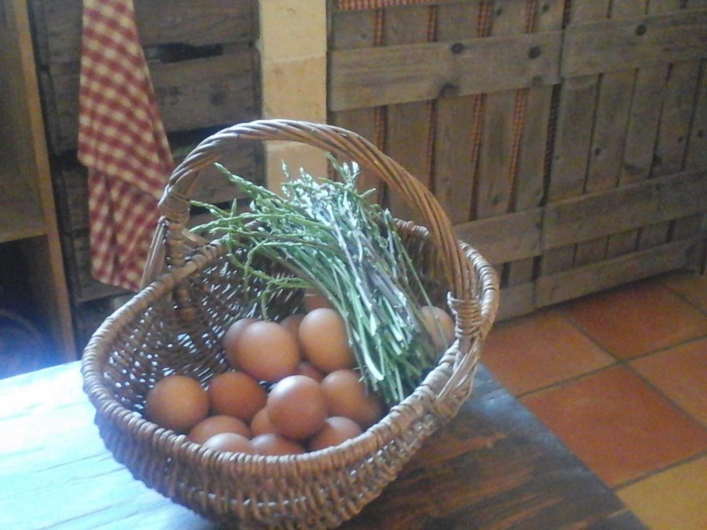 La Maison De Campagne Carcès Zewnętrze zdjęcie